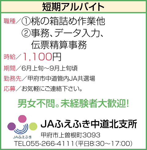 求人情報