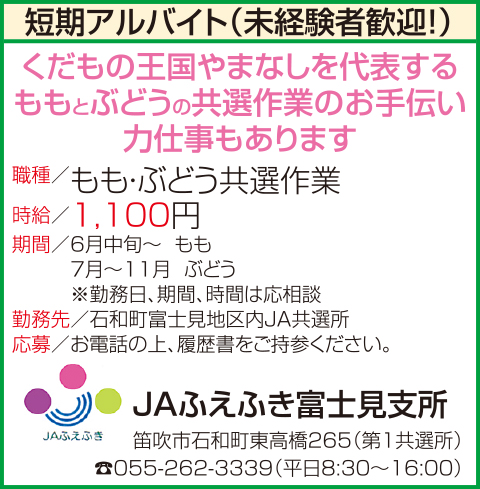 求人情報