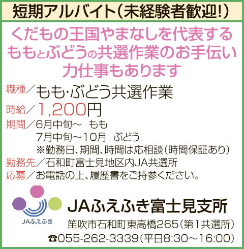 求人情報