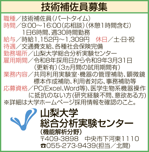 求人情報