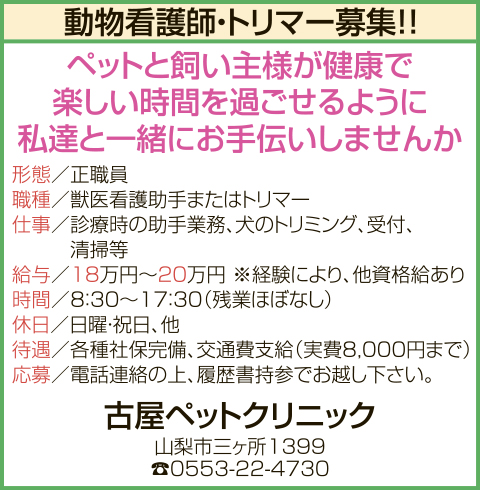 求人情報